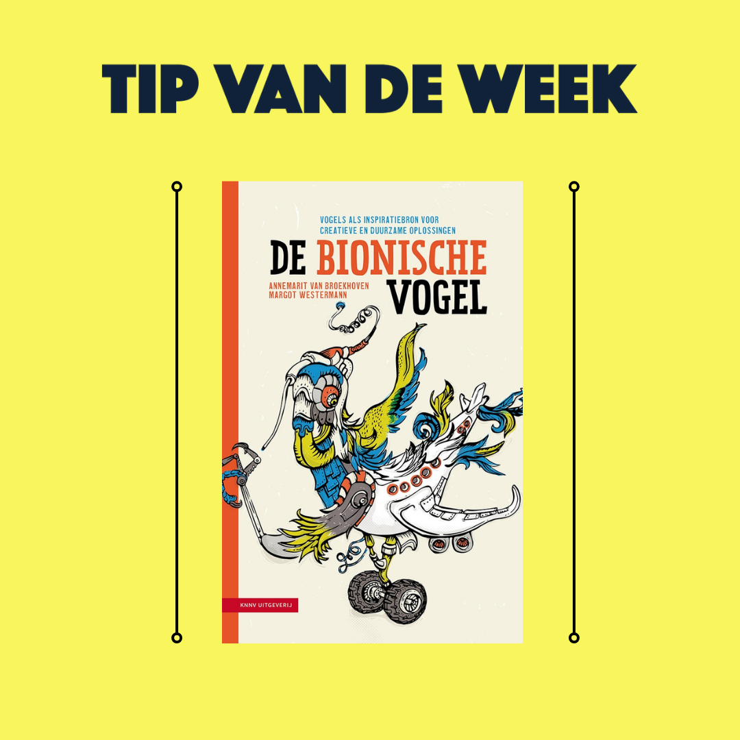 Tip Van De Week De Bionische Vogel Jonge Jury