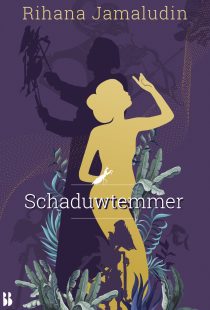 Schaduwtemmer